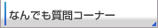 �ʤ�Ǥ���䥳���ʡ�